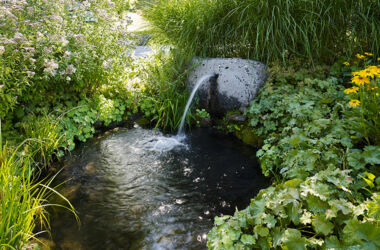 © Rickatschwende F. X. Mayr Health Retreat 91mmx52mm_BildNr_1_sRGB