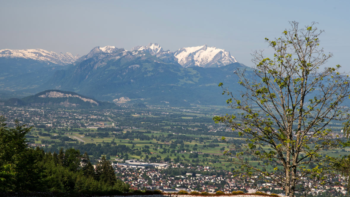 Aussicht Schweizer Berge - F.X. Mayr Kurhotel Rickatschwende