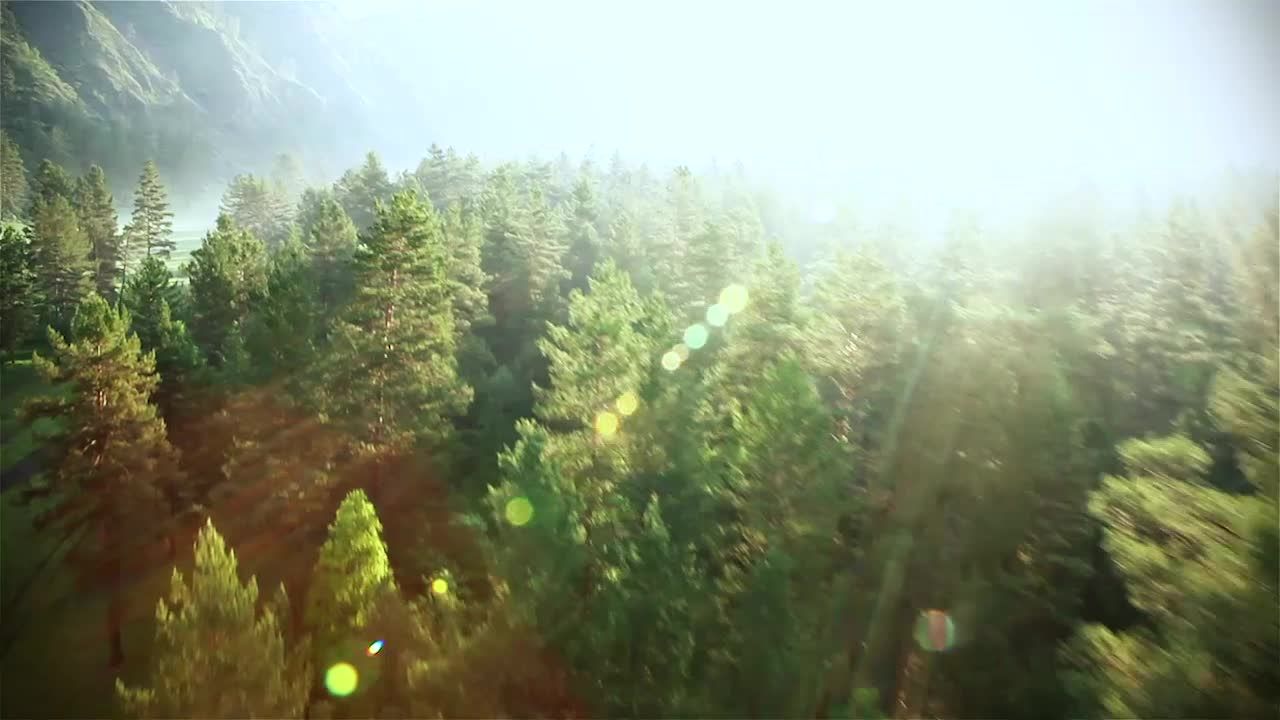 Video Startseite mit Text