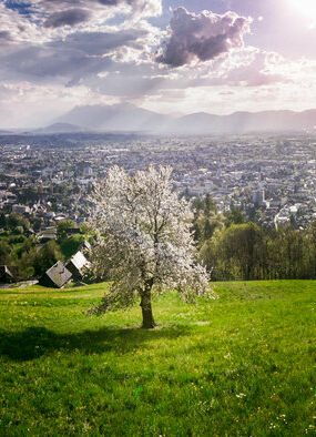 Dornbirn Umgebung (c) Studio Fasching - Dornbirn Tourismus _ Stadtmarketing GmbH  (2)