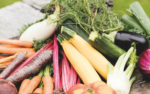 © Rickatschwende F. X. Mayr Health Retreat Gemüse - F.X. Mayr