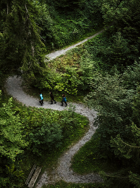 © Rickatschwende F. X. Mayr Health Retreat 91mmx52mm_BildNr_3_sRGB