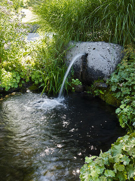 © Rickatschwende F. X. Mayr Health Retreat 91mmx52mm_BildNr_1_sRGB