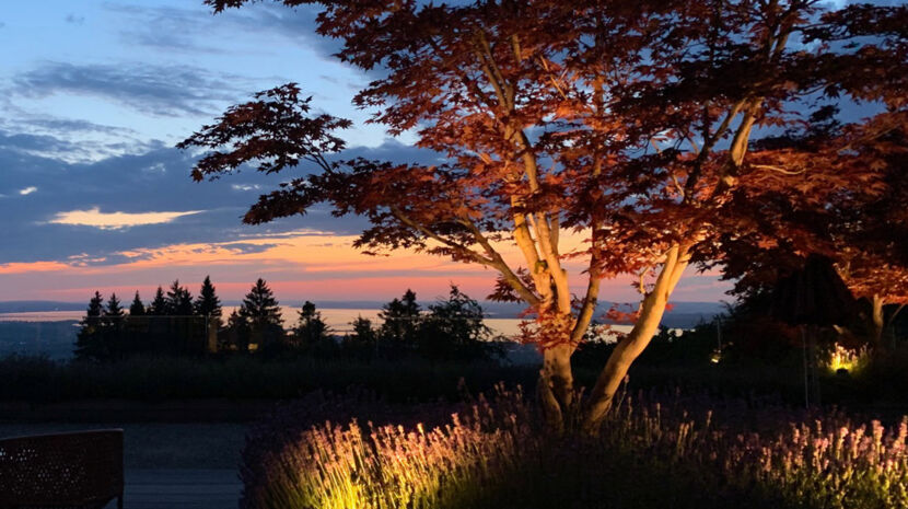 © Rickatschwende F. X. Mayr Health Retreat 91x52-bild-3