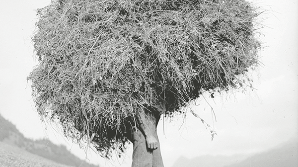 © Rickatschwende F. X. Mayr Health Retreat Entgiften