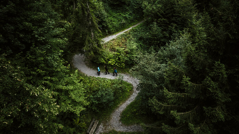 © Rickatschwende F. X. Mayr Health Retreat 91mmx52mm_BildNr_3_sRGB