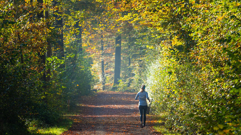 © Rickatschwende F. X. Mayr Health Retreat Dornbirner Ach (c) Studio Fasching - Dornbirn Tourismus _ Stadtmarketing GmbH  (2)