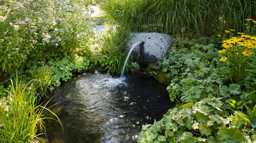 © Rickatschwende F. X. Mayr Health Retreat 91mmx52mm_BildNr_1_sRGB